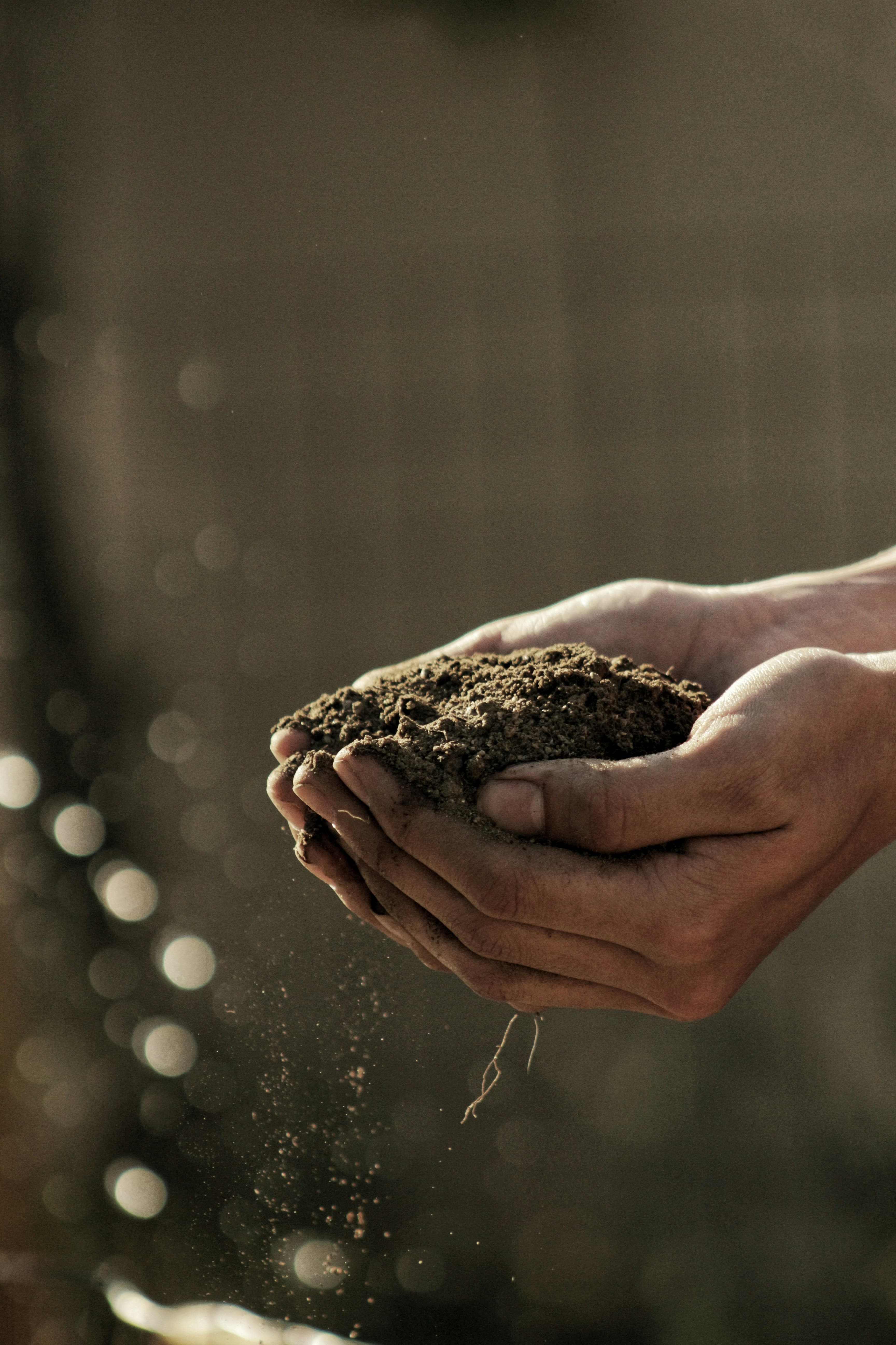 Mains dans la terre agricole