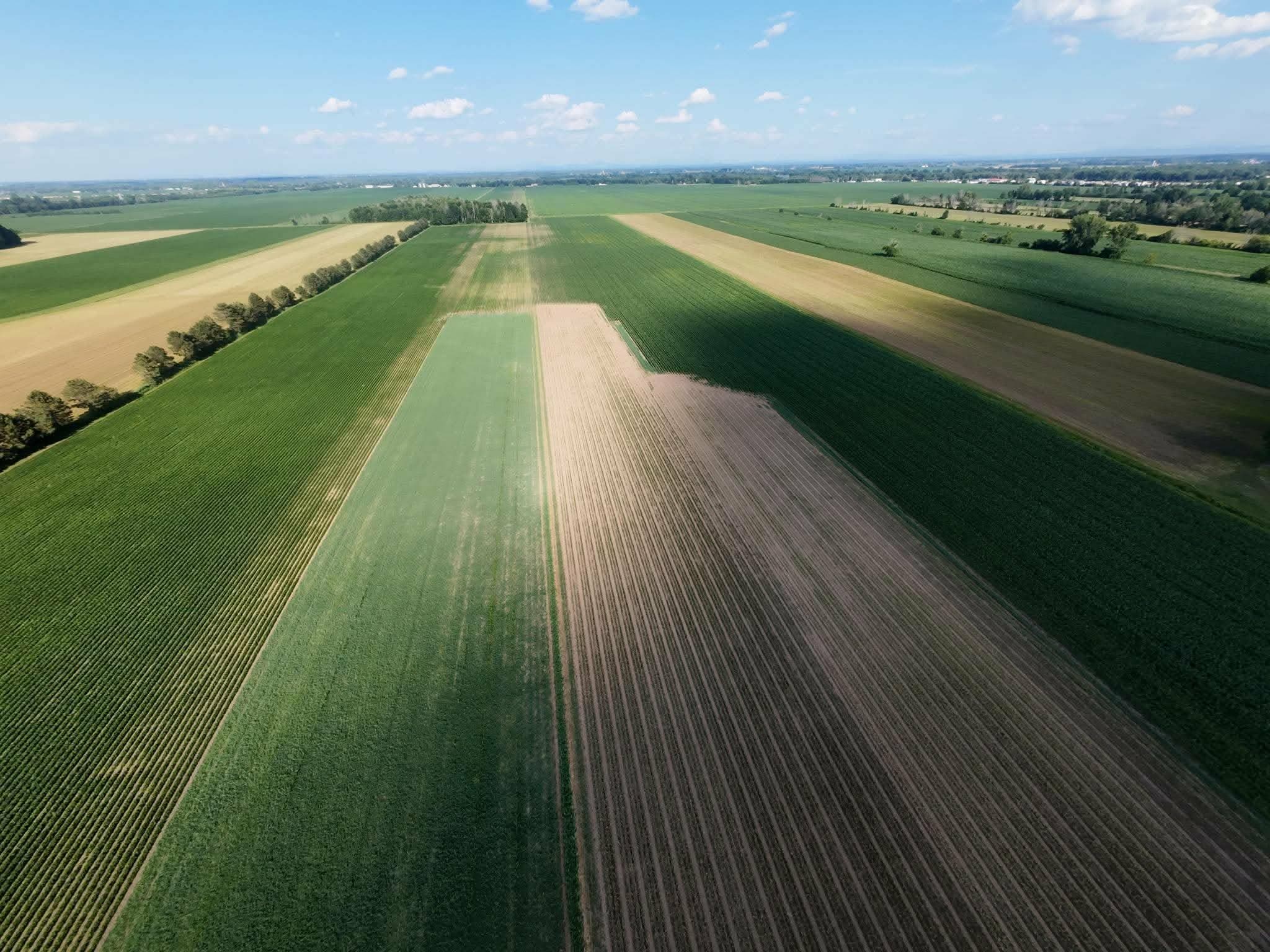 Quebec agricultural landscape